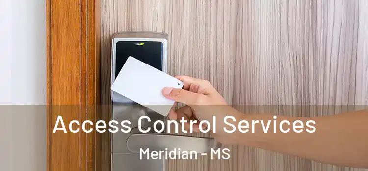 Access Control Services Meridian - MS