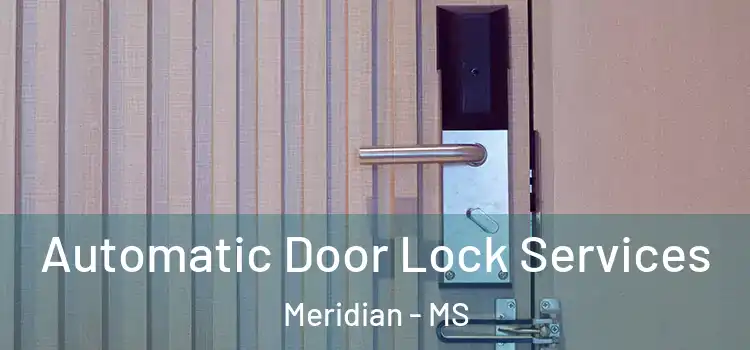 Automatic Door Lock Services Meridian - MS