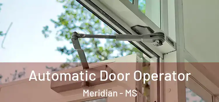 Automatic Door Operator Meridian - MS