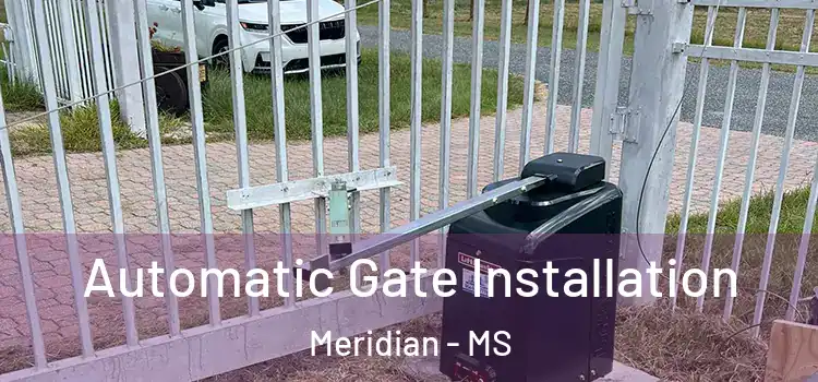 Automatic Gate Installation Meridian - MS