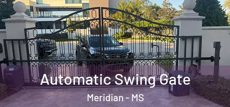 Automatic Swing Gate Meridian - MS