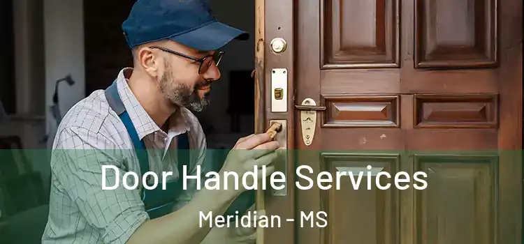 Door Handle Services Meridian - MS