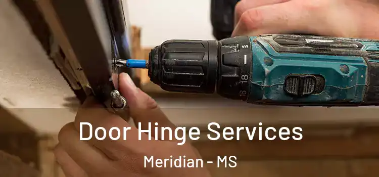 Door Hinge Services Meridian - MS