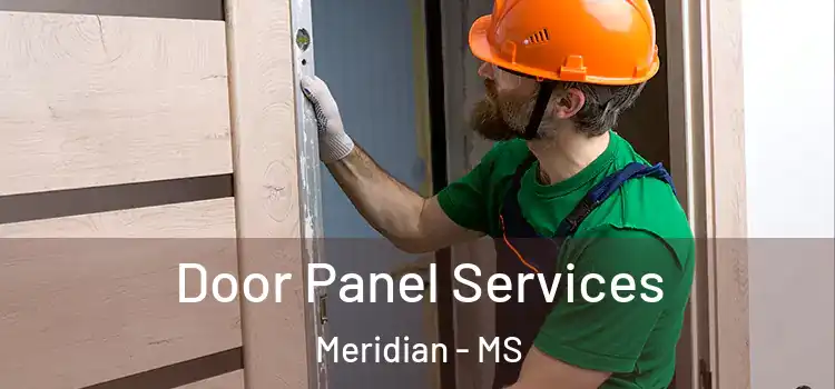 Door Panel Services Meridian - MS