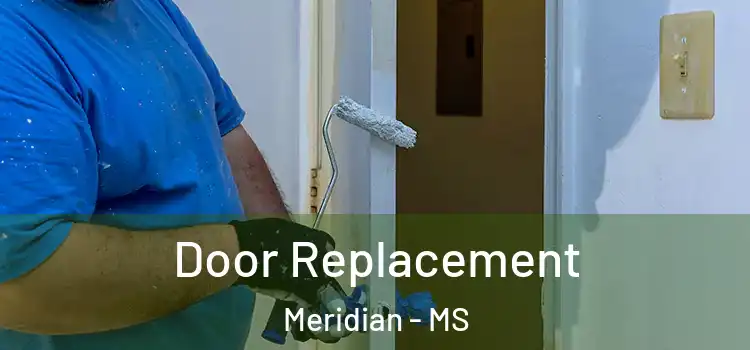 Door Replacement Meridian - MS