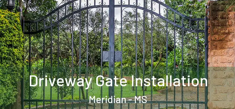 Driveway Gate Installation Meridian - MS