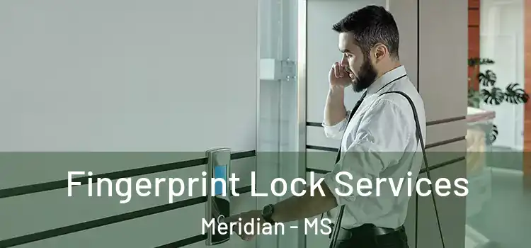 Fingerprint Lock Services Meridian - MS