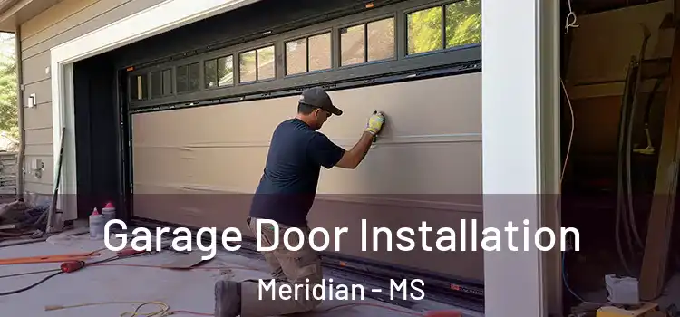  Garage Door Installation Meridian - MS