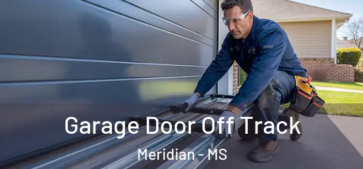  Garage Door Off Track Meridian - MS