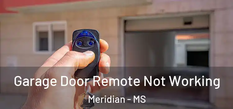  Garage Door Remote Not Working Meridian - MS