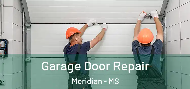  Garage Door Repair Meridian - MS