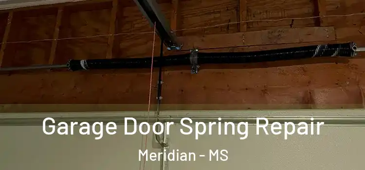  Garage Door Spring Repair Meridian - MS