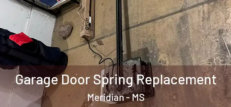  Garage Door Spring Replacement Meridian - MS