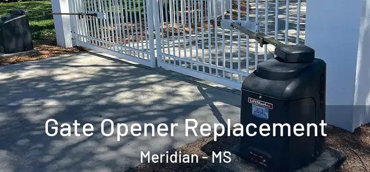 Gate Opener Replacement Meridian - MS
