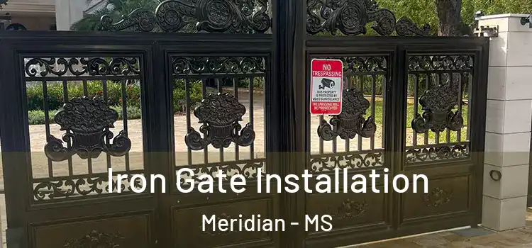 Iron Gate Installation Meridian - MS