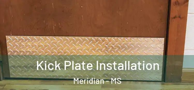 Kick Plate Installation Meridian - MS
