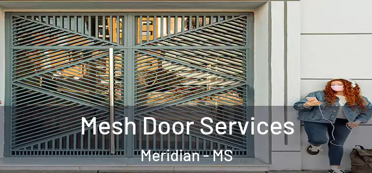 Mesh Door Services Meridian - MS