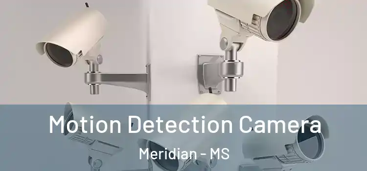  Motion Detection Camera Meridian - MS
