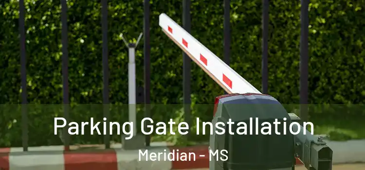 Parking Gate Installation Meridian - MS