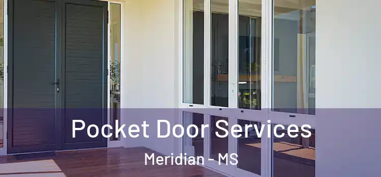Pocket Door Services Meridian - MS