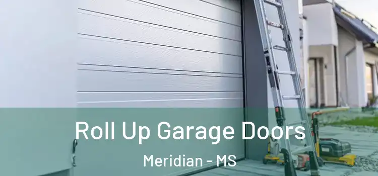  Roll Up Garage Doors Meridian - MS