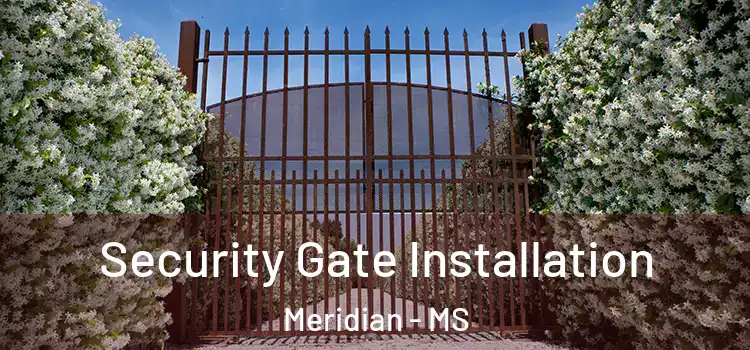 Security Gate Installation Meridian - MS
