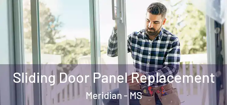  Sliding Door Panel Replacement Meridian - MS