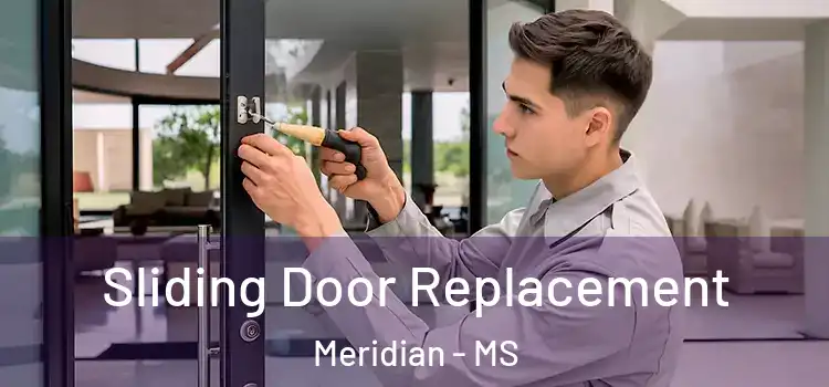 Sliding Door Replacement Meridian - MS