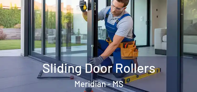 Sliding Door Rollers Meridian - MS