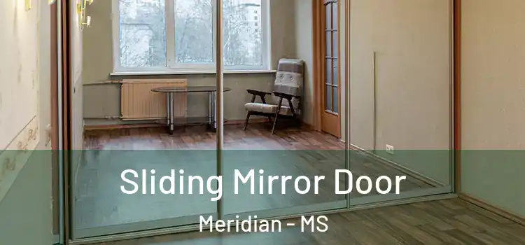  Sliding Mirror Door Meridian - MS