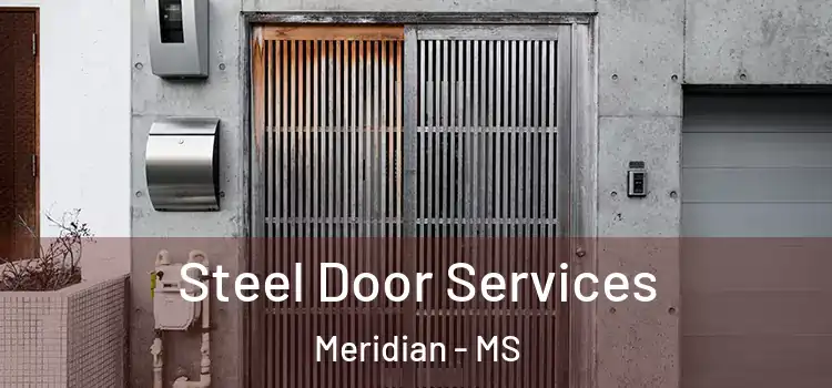 Steel Door Services Meridian - MS