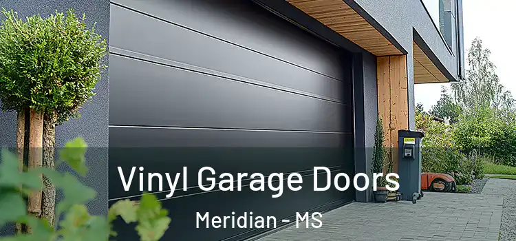  Vinyl Garage Doors Meridian - MS